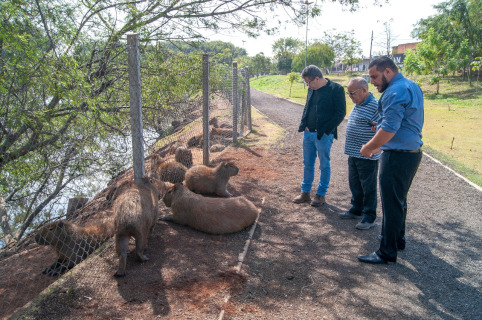 Dr. Marcelo Rossi: MP reitera parecer favorável à remoção de capivaras