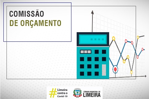 Comissão de Orçamento faz reunião e delibera sobre 14 projetos