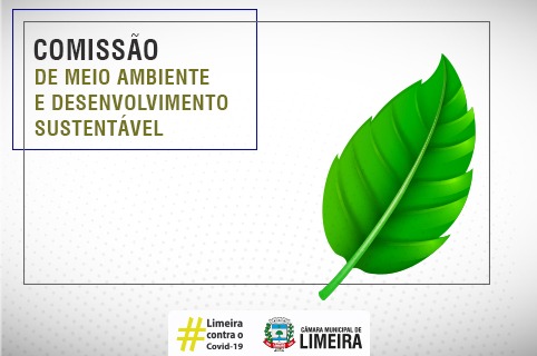 Comissão de Meio Ambiente analisa um projeto