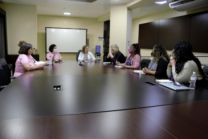 Dirigentes da Procuradoria da Mulher da Câmara e do Conselho da Condição Feminina se reúnem