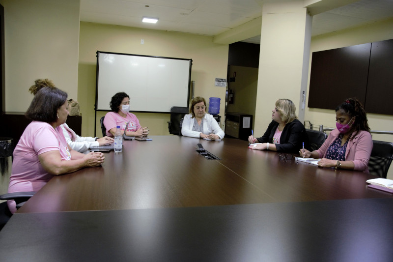 Dirigentes da Procuradoria da Mulher da Câmara e do Conselho da Condição Feminina se reúnem