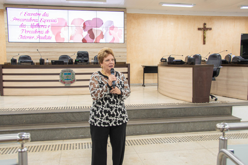 Encontro das Procuradoras da Mulher tem participação de dezenas de cidades