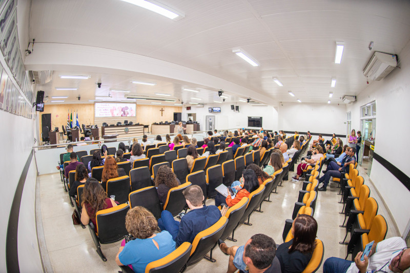 Encontro das Procuradoras da Mulher tem participação de dezenas de cidades