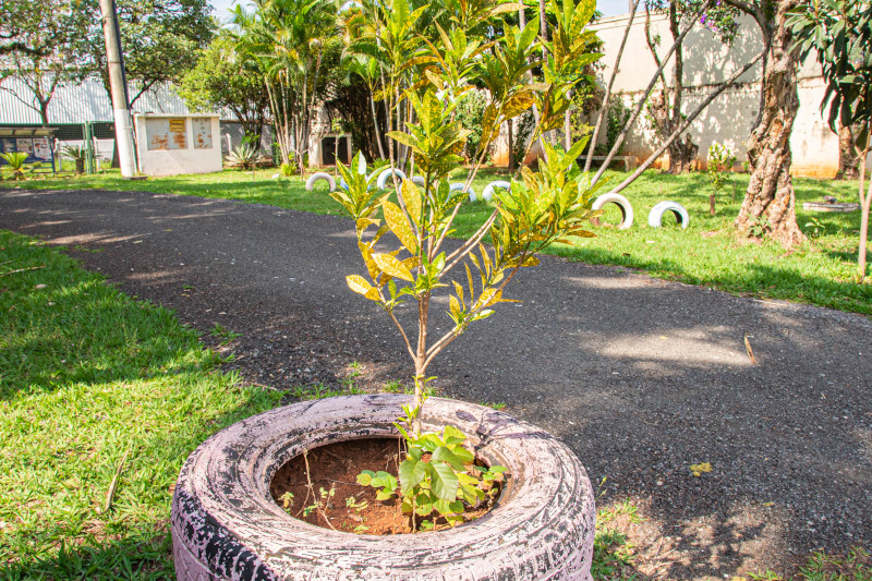 Prédio da Câmara muda visual com três meses de trabalho de reeducandos