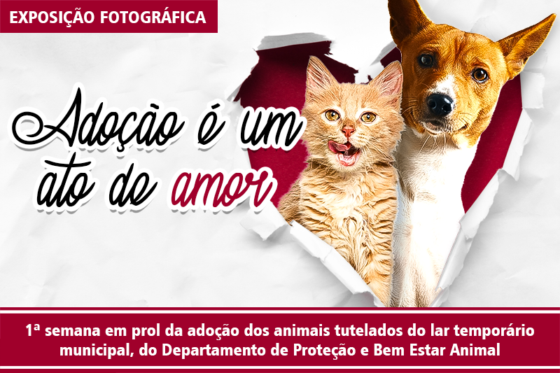 Câmara promove exposição de fotos Adoção é um Ato de Amor sobre lar temporário