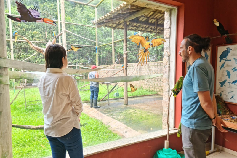 Centro de Reabilitação de Animais Silvestres fica na cidade de Araras