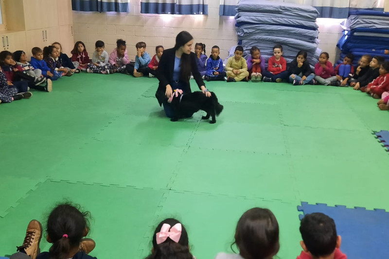 Tatiane Lopes promove atividade educativa sobre maus tratos a animais na escola Luca Moore