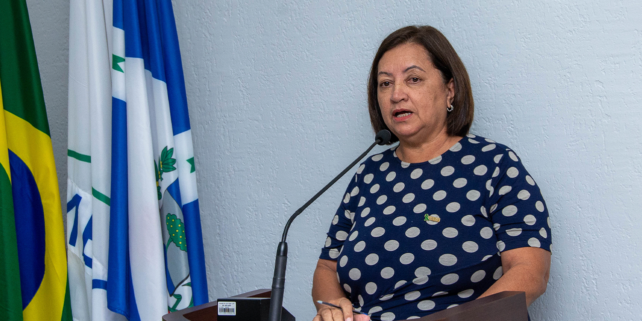 Evento idealizado pela vereadora Terezinha da Santa Casa é organizado pela Escola Legislativa