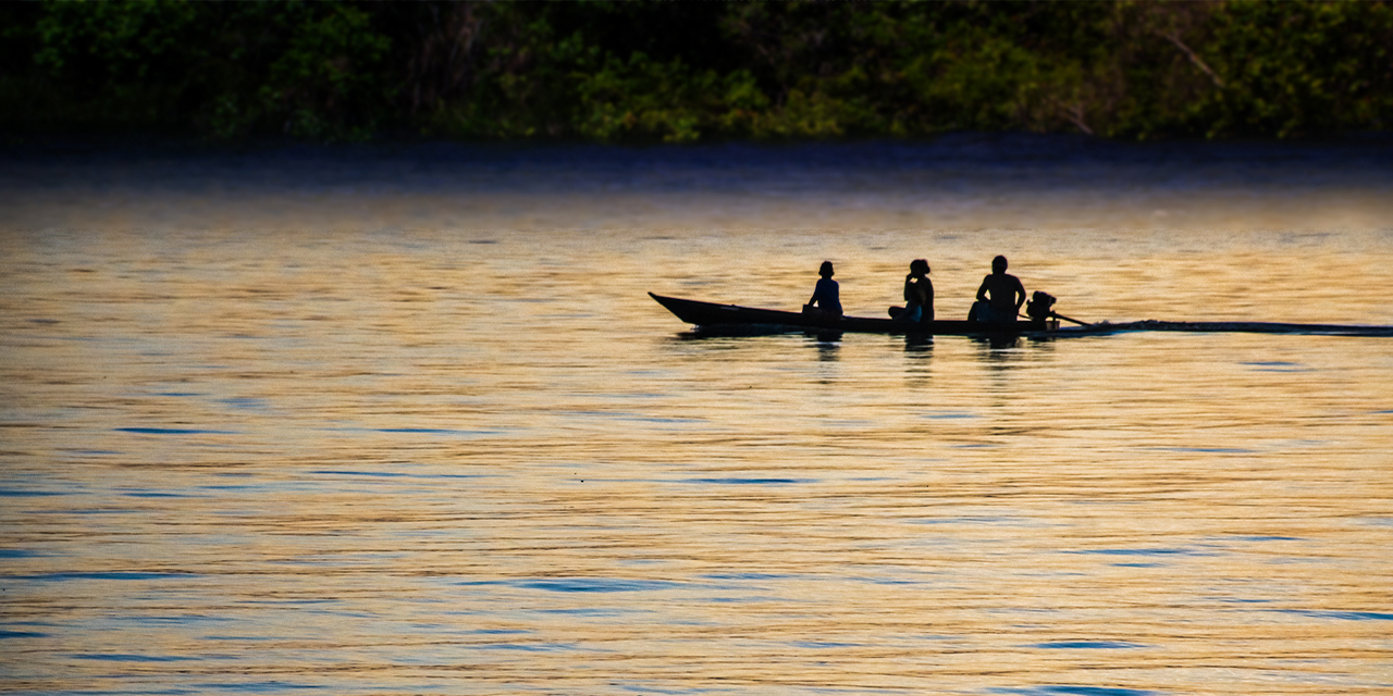 Exposição “Missão Amazônia” será aberta na Câmara em parceria com jornalista Anderson Junque